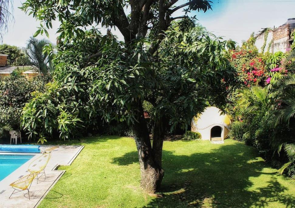 Casa Temazcal Cuernavaca - Con Alberca Y Temazcal Villa Jiutepec Exterior foto